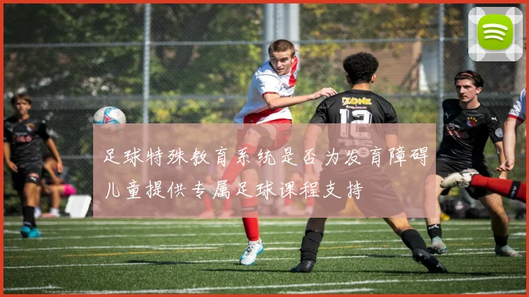 足球特殊教育系统是否为发育障碍儿童提供专属足球课程支持